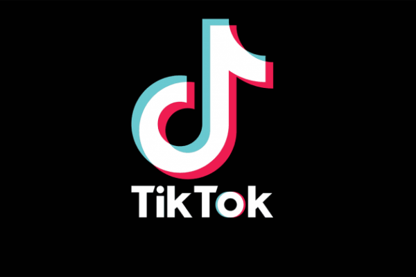 Indian political organisation calls for TikTok ban