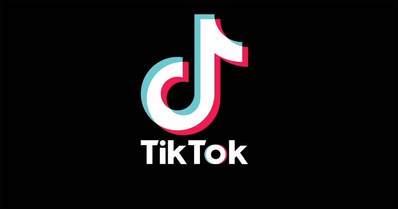Indian political organisation calls for TikTok ban