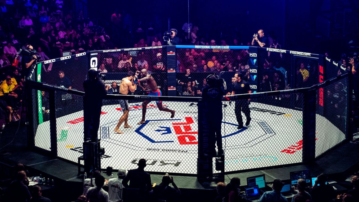 How The Professional Fighters League emerged in a sport dominated by the UFC